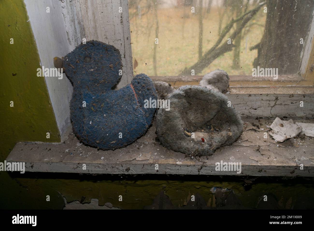 Ein altes Tierspielzeug über einer Fensterecke in tschernobyl verlassenen, netteren Gärten Stockfoto