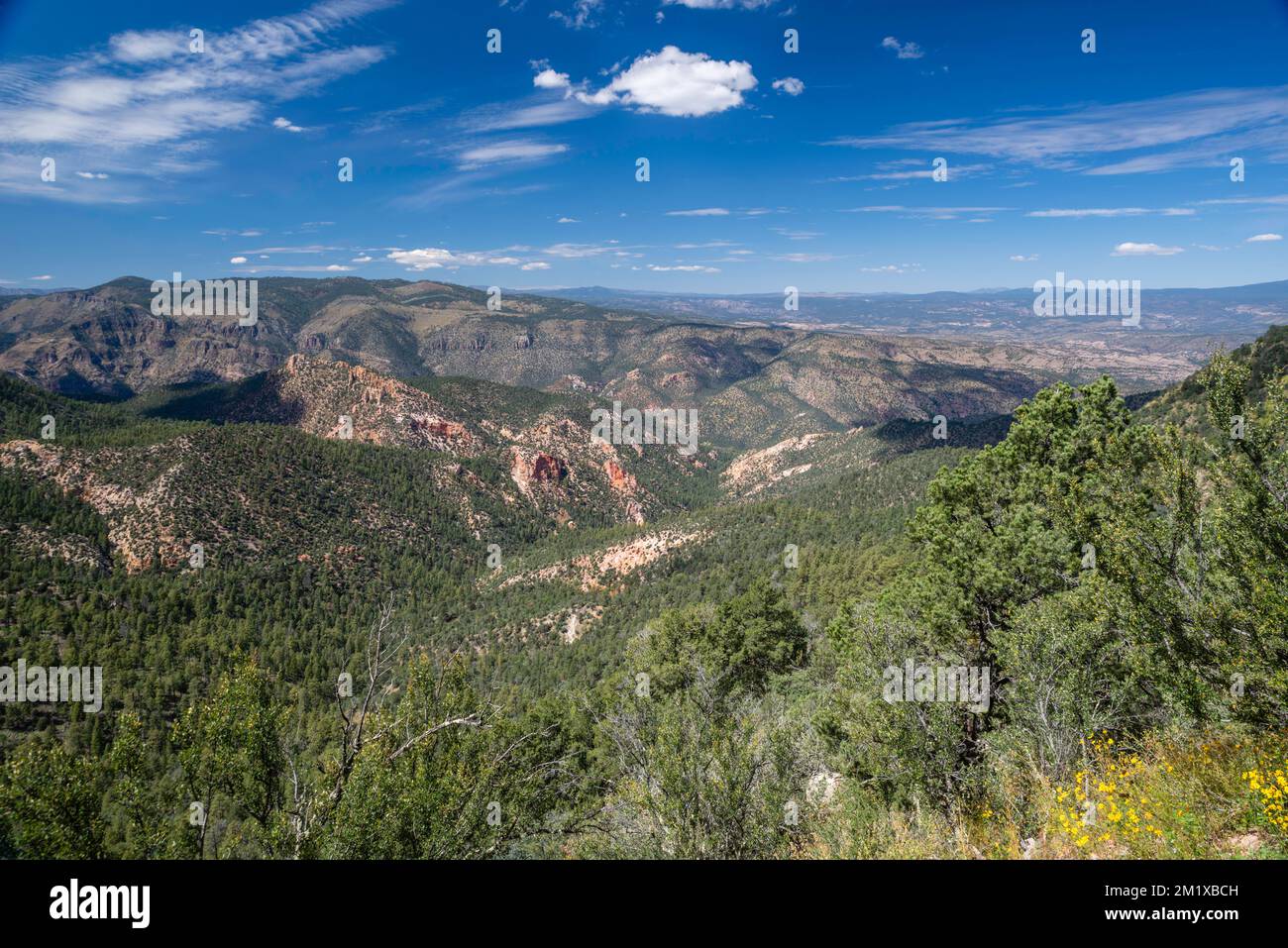 Blick auf den Gila National Forest in der Nähe des Gila Cliff Dwellings National Monument; Mimbres, New Mexico, USA. Stockfoto