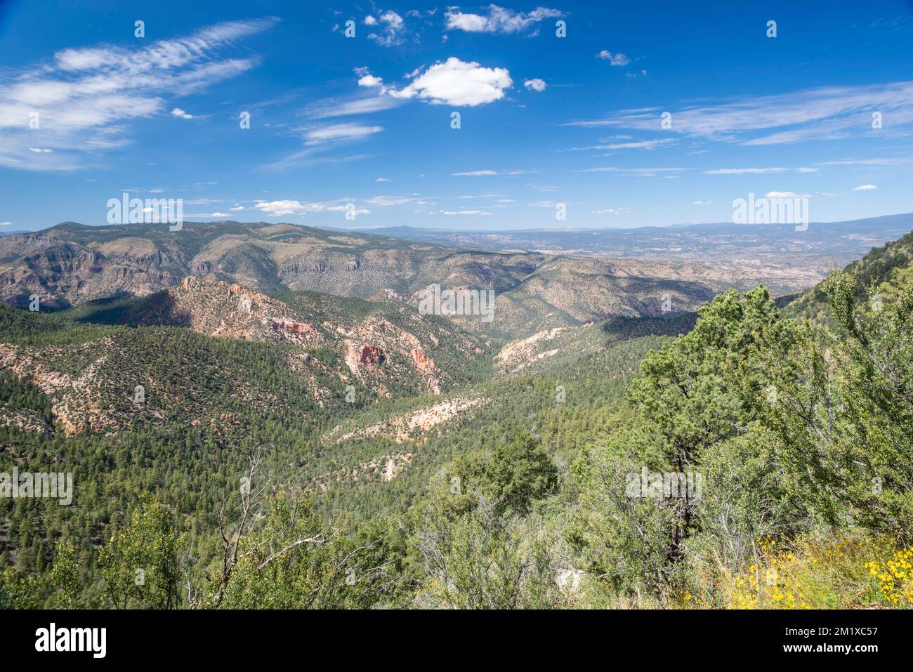 Blick auf den Gila National Forest in der Nähe des Gila Cliff Dwellings National Monument; Mimbres, New Mexico, USA. Stockfoto
