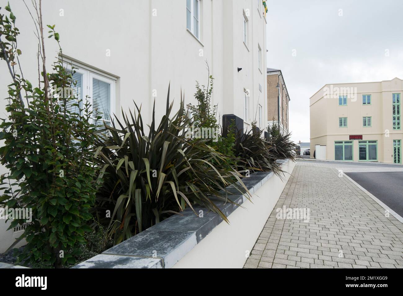 Cordyline-Anlagen wachsen an der Seite von Wohnungen in Nansledan, einem Bauwerk des Herzogtums Cornwall, Newquay, Cornwall, Südwestengland, Vereinigtes Königreich Stockfoto