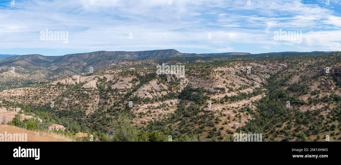Blick auf den Gila National Forest in der Nähe des Gila Cliff Dwellings National Monument; Mimbres, New Mexico, USA. Stockfoto