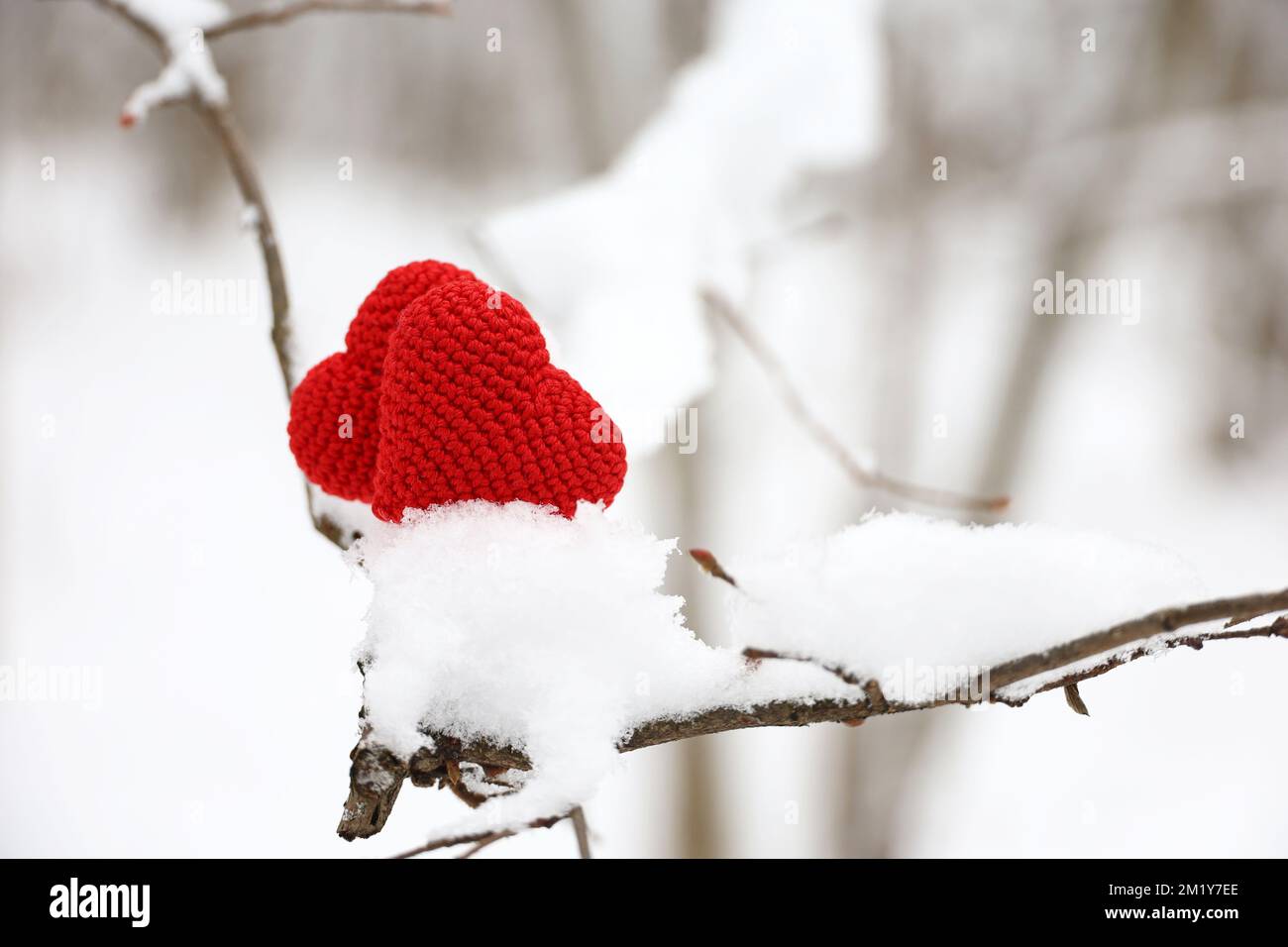 Zwei gestrickte Liebesherzen auf einem Ast, der im Winterwald mit Schnee bedeckt ist. Konzept der Neujahrsfeier oder des Valentinstages Stockfoto