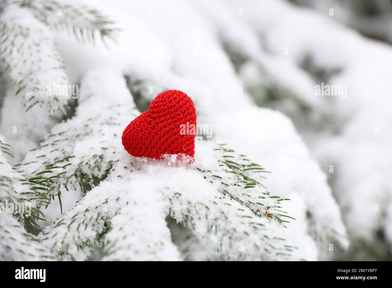 Gestricktes Liebesherz auf Tannenzweig, bedeckt mit Schnee im Winterwald. Hintergrund für die Weihnachtsfeier oder den Valentinstag Stockfoto