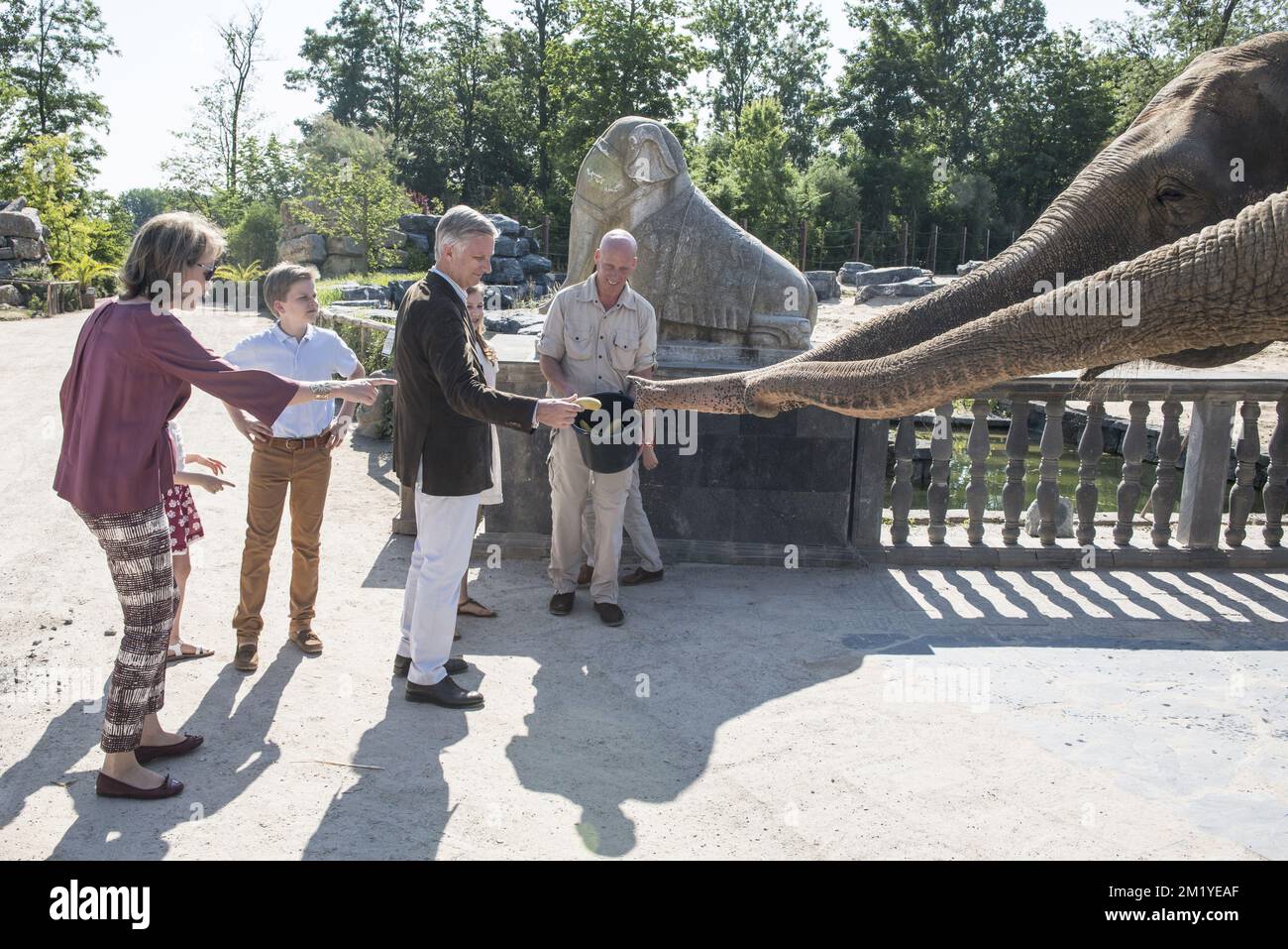 Königin Mathilde von Belgien, Prinzessin Eleonore, Prinz Gabriel, König Philippe - Filip von Belgien und Kronprinzessin Elisabeth füttern die Elefanten bei einem Fotoshooting des Urlaubs der belgischen Königsfamilie im Tierpark Pairi Daiza in Cambron-Casteau, Brugelette, Samstag, 11. Juli 2015. Stockfoto