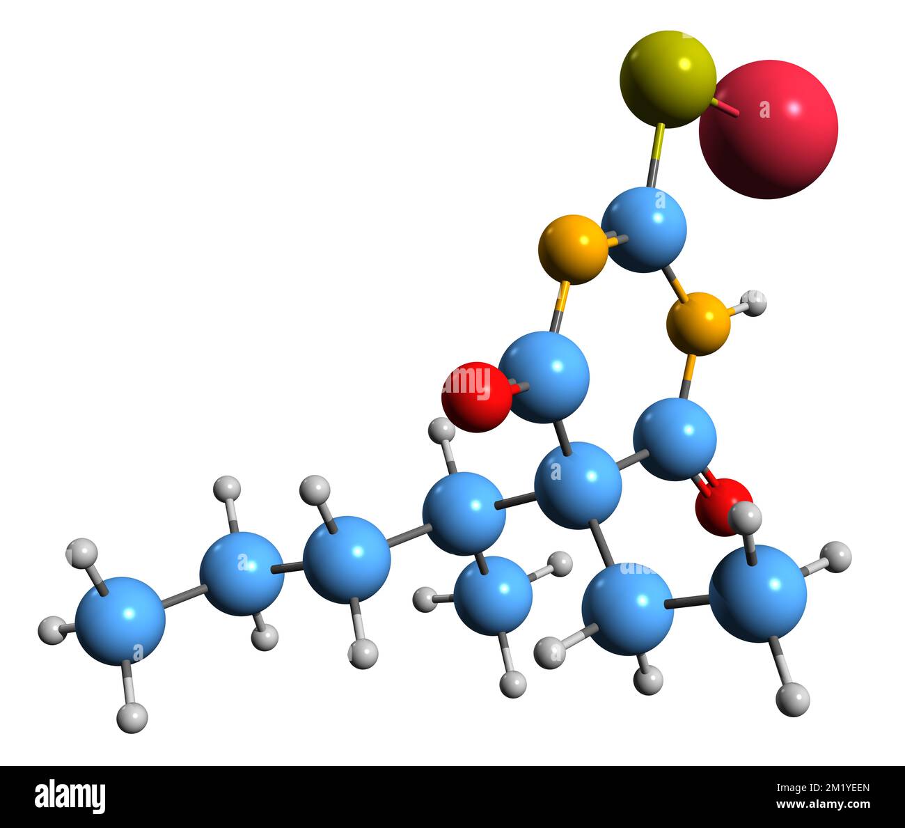3D-Bild einer Natriumthiopental-Skelettformel - molekularchemische Struktur von Thiopenton isoliert auf weißem Hintergrund Stockfoto