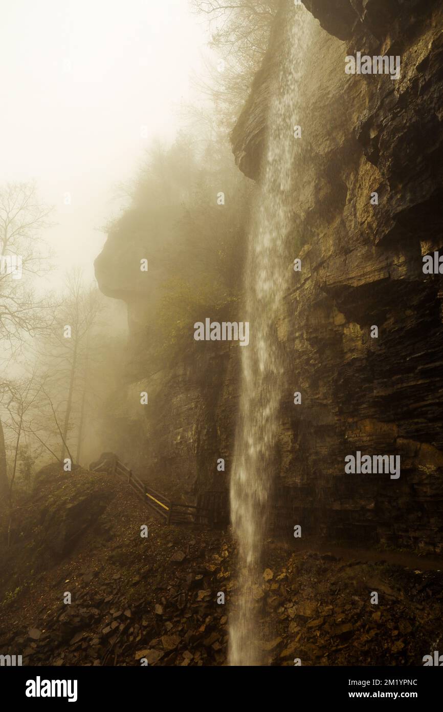 Ein schmaler Wasserfall an einem nebligen Autumtag. Stockfoto