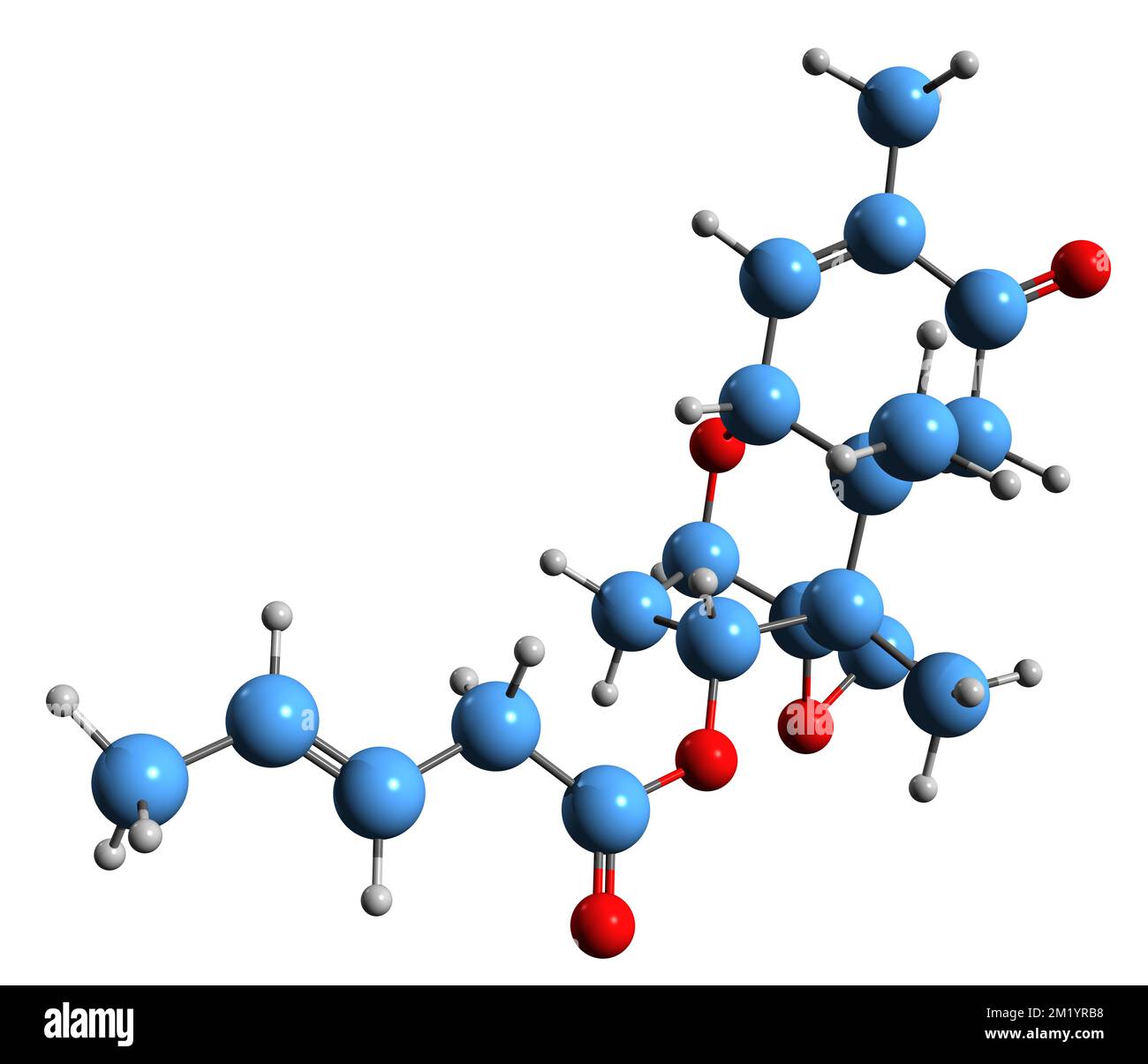 3D-Bild einer Trichothecin-Skelettformel - molekularchemische Struktur des auf weißem Hintergrund isolierten Mykotoxins Stockfoto