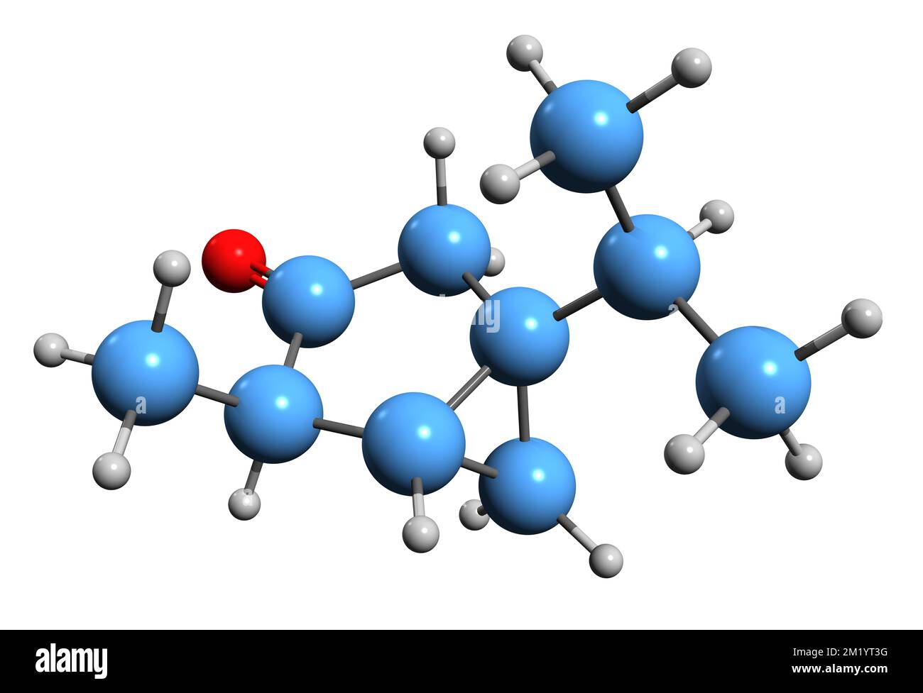 3D-Bild der Thujone-Skelettformel - molekularchemische Struktur des auf weißem Hintergrund isolierten Monoterpens 3-Thujanon Stockfoto