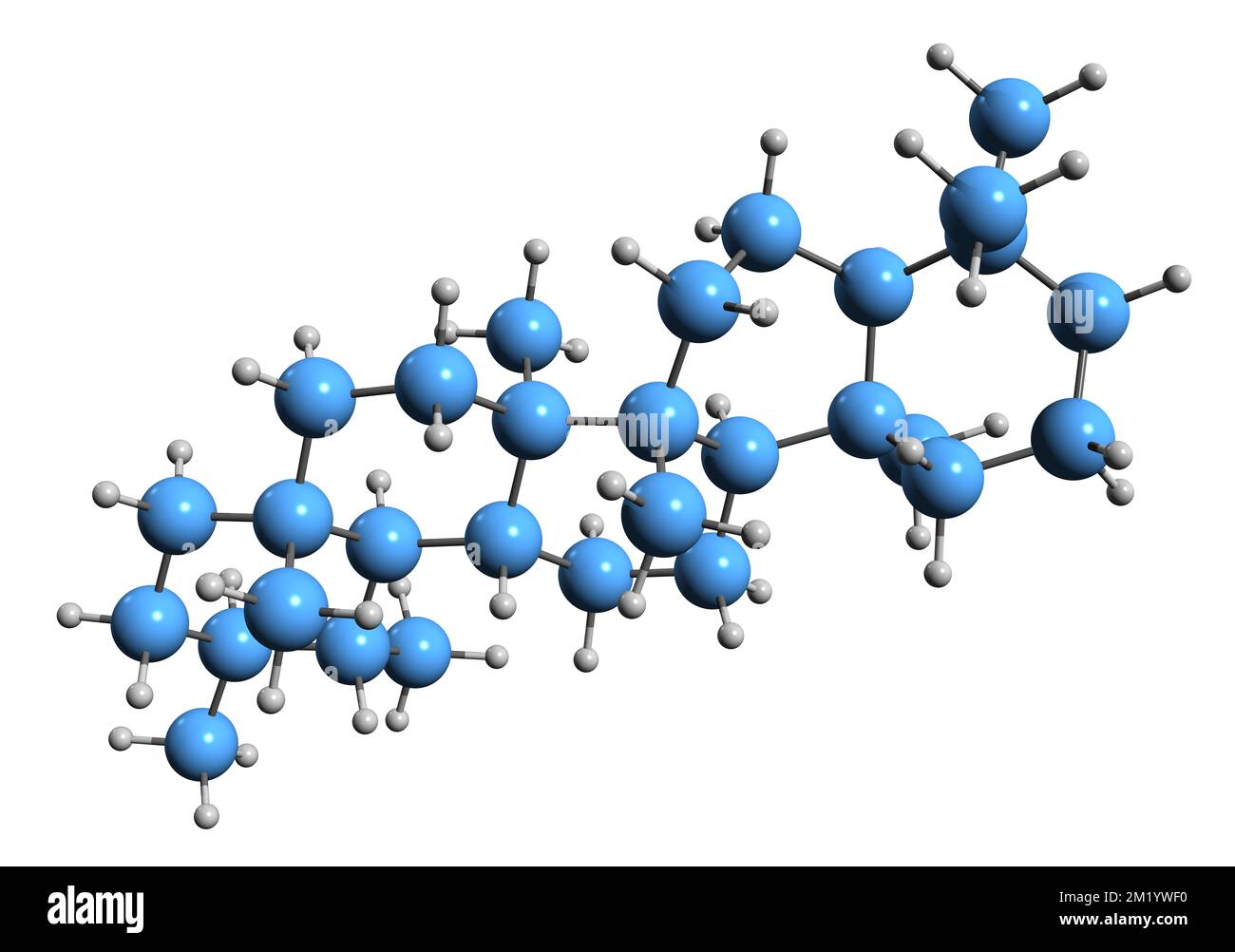 3D-Bild der Ursan-Skelettformel - molekularchemische Struktur phytochemischer Isolation auf weißem Hintergrund Stockfoto