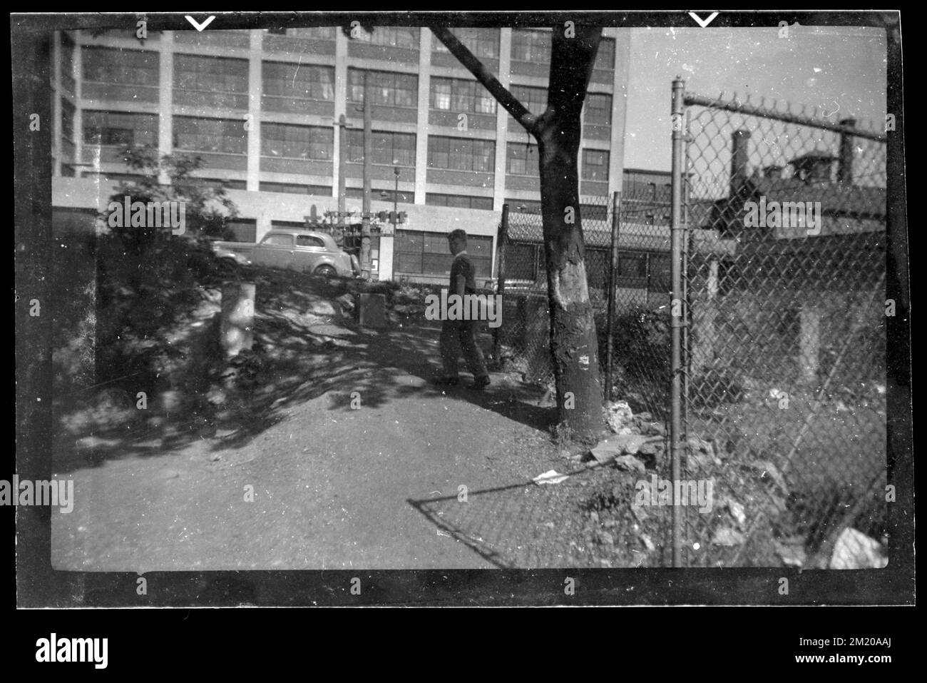 Ein Junge schaut zurück in die Kamera, Kettengliederzaun rechts, Zäune. Jack Miller Kollektion Stockfoto