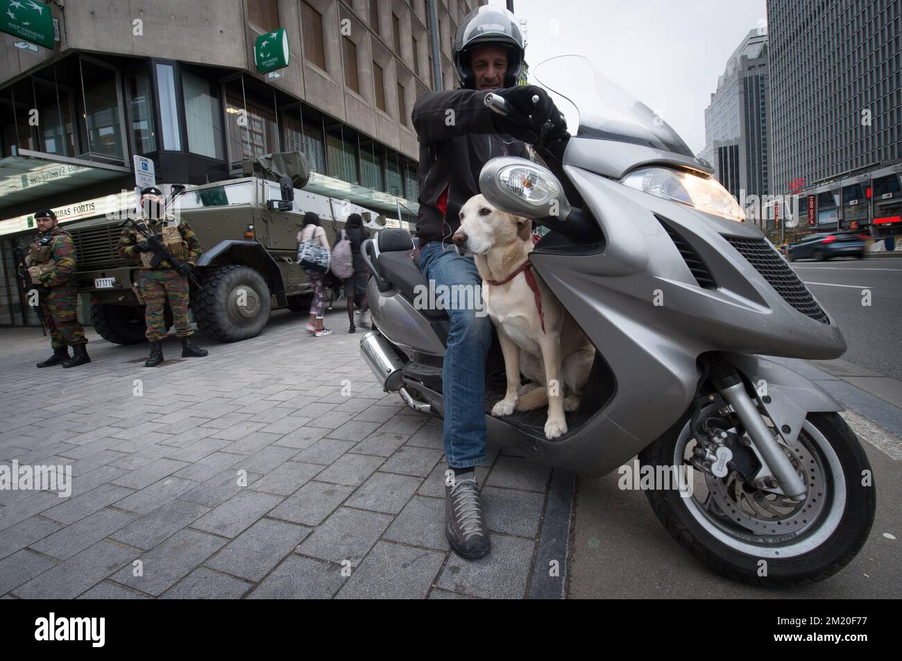 20151127 – BRÜSSEL, BELGIEN: Abbildung zeigt einen Mann und einen Hund auf einem Motorroller, Freitag, den 27. November 2015, in Brüssel. Die terroristische Bedrohung ist nach sechs Tagen wieder auf Stufe drei, in der Region Brüssel, und wird für den Rest des Landes auf Stufe drei gehalten. BELGA FOTO BENOIT DOPPPAGNE Stockfoto