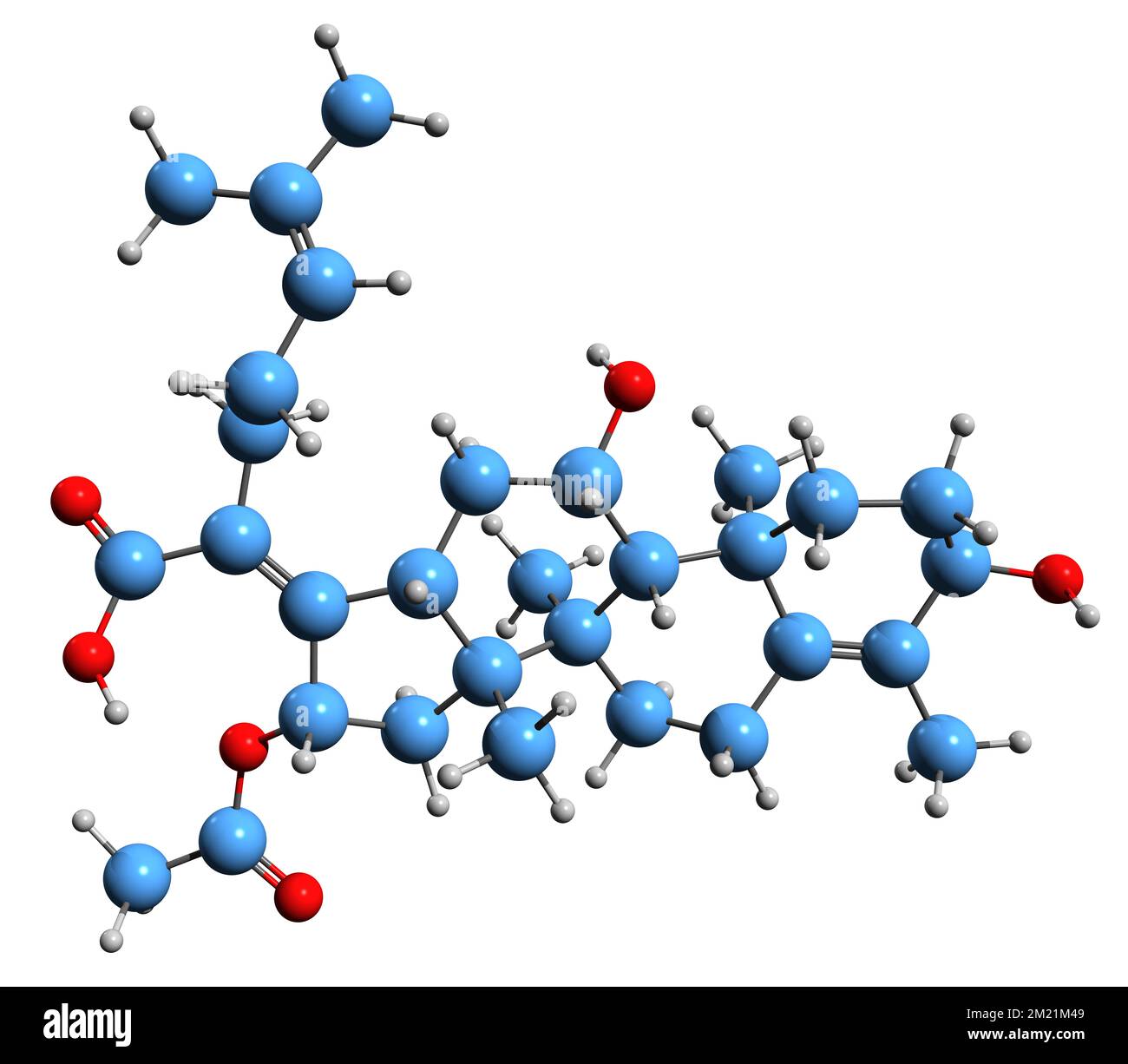 3D-Bild einer Fusidinsäure-Skelettformel - molekularchemische Struktur von Natriumfusidat isoliert auf weißem Hintergrund Stockfoto
