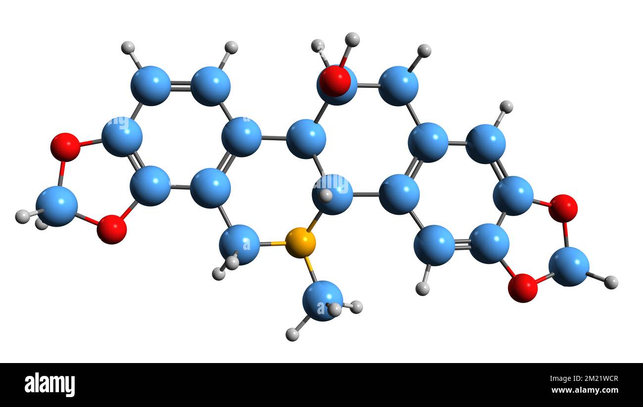 3D-Bild der Chelidonin-Skelettformel - molekularchemische Struktur phytochemischer Isolation auf weißem Hintergrund Stockfoto