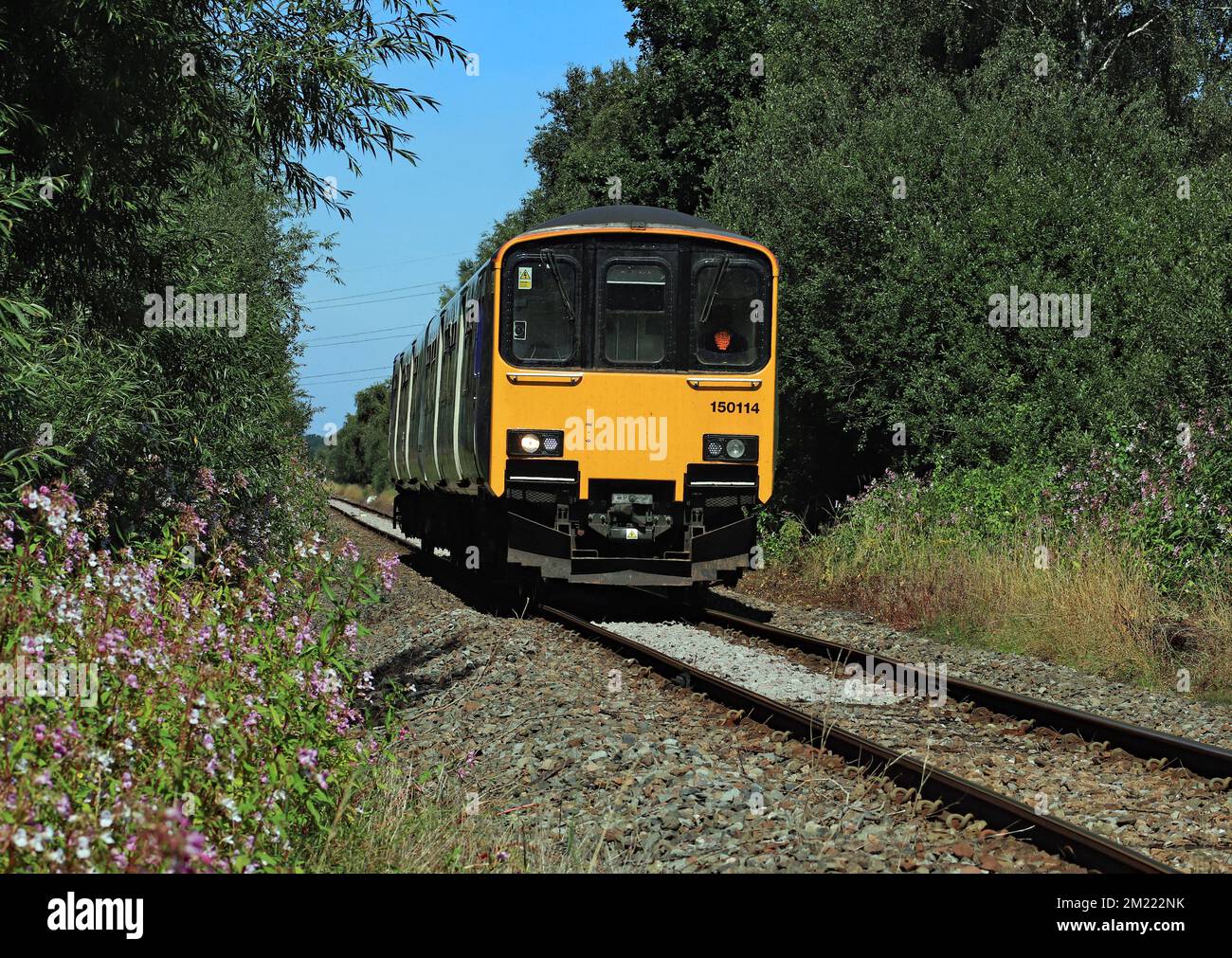 Einer der Dieselzüge von Northern nähert sich Rufford in West Lancashire am Dienstag, den 9,8.2022. Der Zug fährt von Preston nach Ormskirk Stockfoto