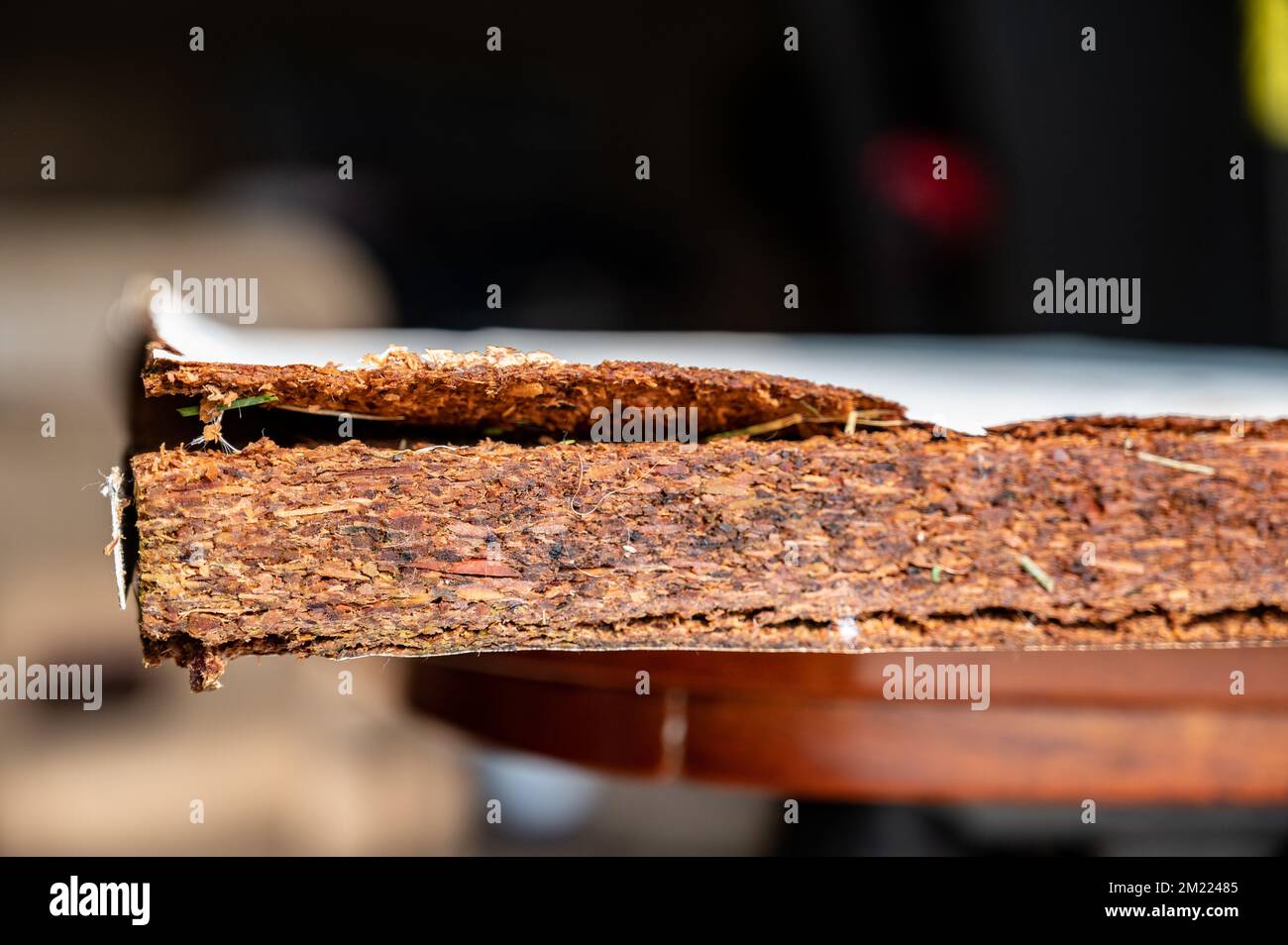 Selektiver Fokus auf den Rand von wassergeschädigtem laminiertem Sperrholz Stockfoto