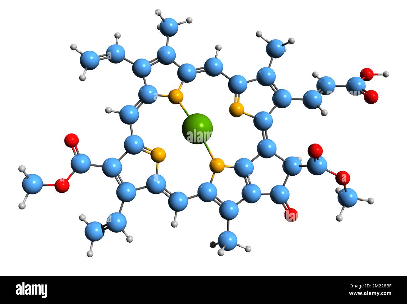 3D-Bild der Chlorophyll-C3-Skelettformel - molekularchemische Struktur des photosynthetischen Pigments, isoliert auf weißem Hintergrund Stockfoto