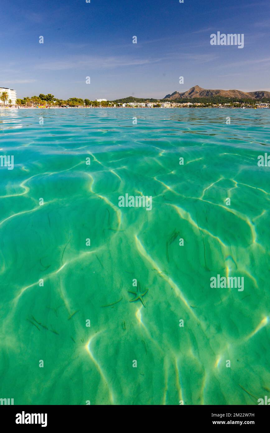 Kristallklares Wasser in Alcudia Beach, Mallorca, Spanien Stockfoto