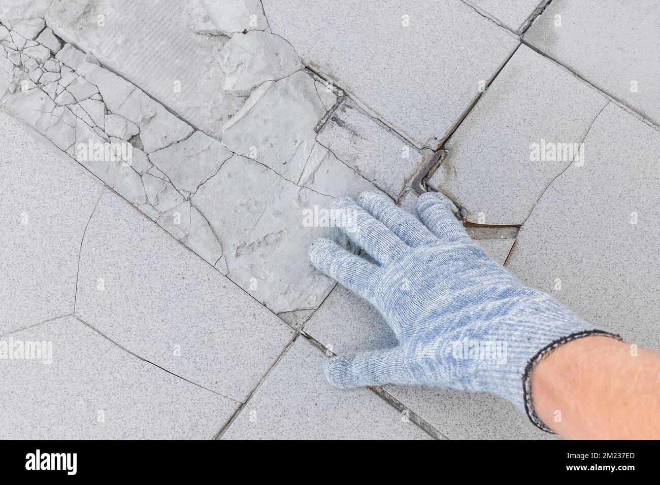 Hand des männlichen Bauarbeiters in Schutzhandschuhen untersucht alten gebrochenen Fliesenboden Hintergrund. Renovierungskonzept. Stockfoto