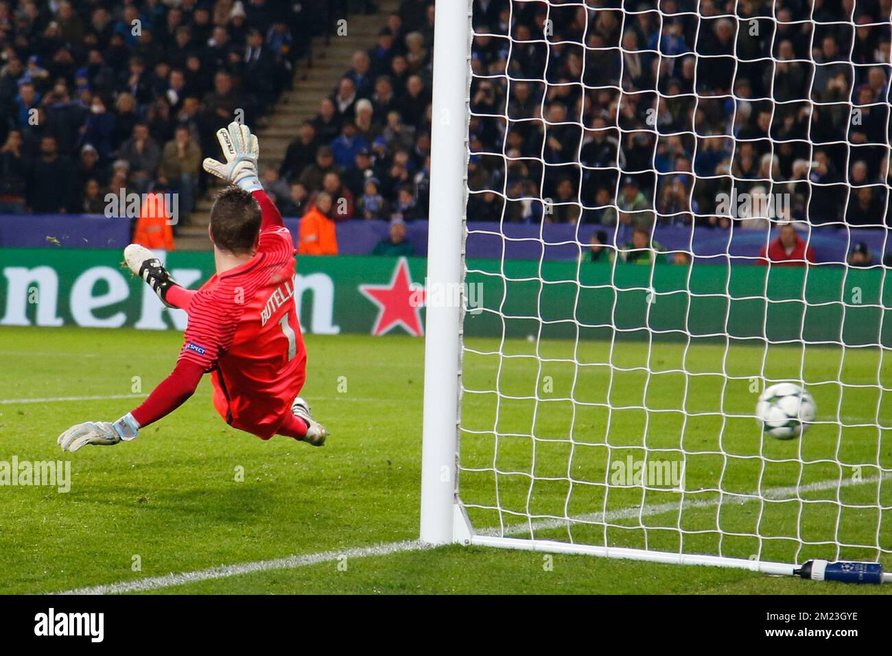 Der Torwart des Clubs Ludovic Butelle kann das 2-0. Tor nicht aufhalten, während ein Spiel zwischen dem britischen Verein Leicester City Football Club und dem belgischen Fußballteam der ersten Division Club Brugge KV, dem fünften Spiel der Champions League-Gruppenbühne, in der Gruppe G in Leicester, Großbritannien, Dienstag, 22. November 2016. Stockfoto