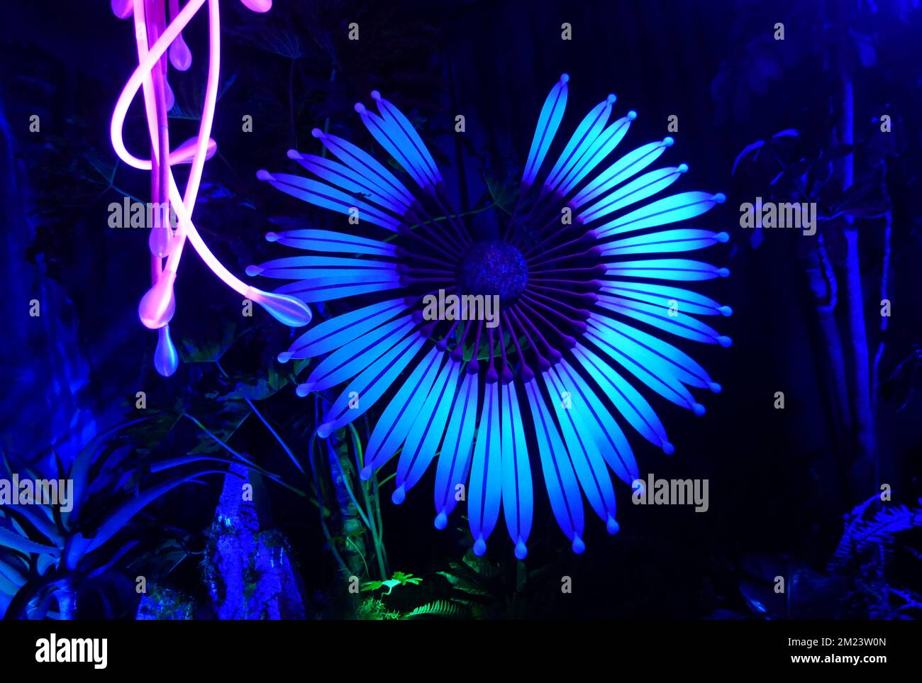 Hollywood, Kalifornien, USA 12.. Dezember 2022 20. Century Studio's „Avatar 2: The Water“ USA Premiere im Dolby Theatre am 12. Dezember 2022 in Hollywood, Kalifornien, USA. Foto: Barry King/Alamy Stock Photo Stockfoto