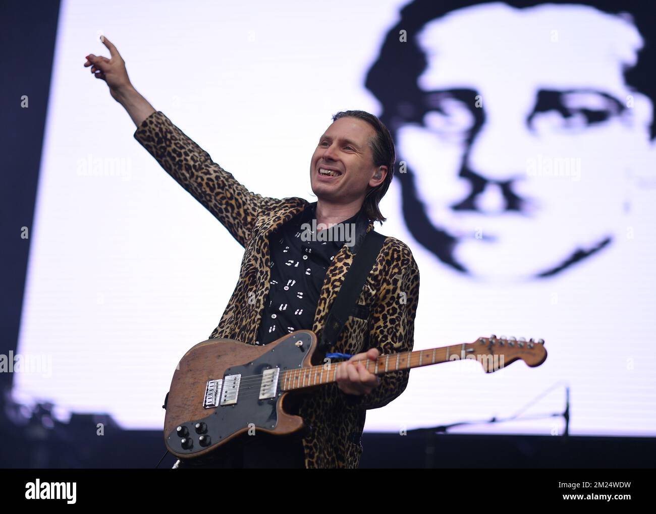 Gouverneursball - Franz Ferdinand im Konzert Stockfoto