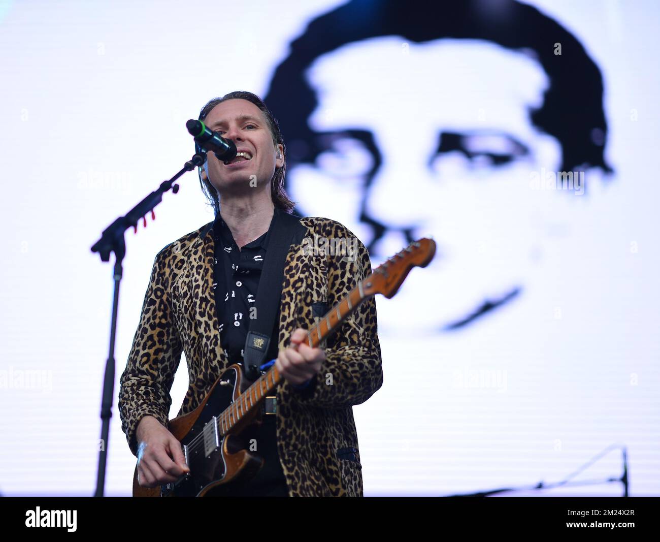 Gouverneursball - Franz Ferdinand im Konzert Stockfoto