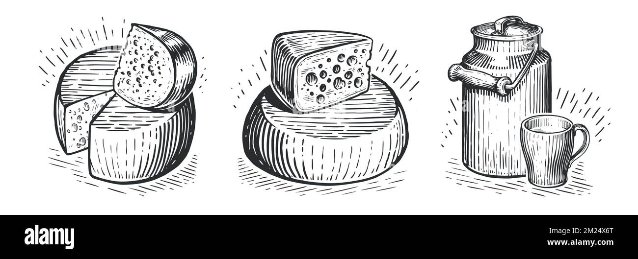 Set aus ökologischen Erzeugnissen von Milchbetrieben. Käse- und Milchkonzeptsammlung. Vektordarstellung im Vintage-Stil Stock Vektor
