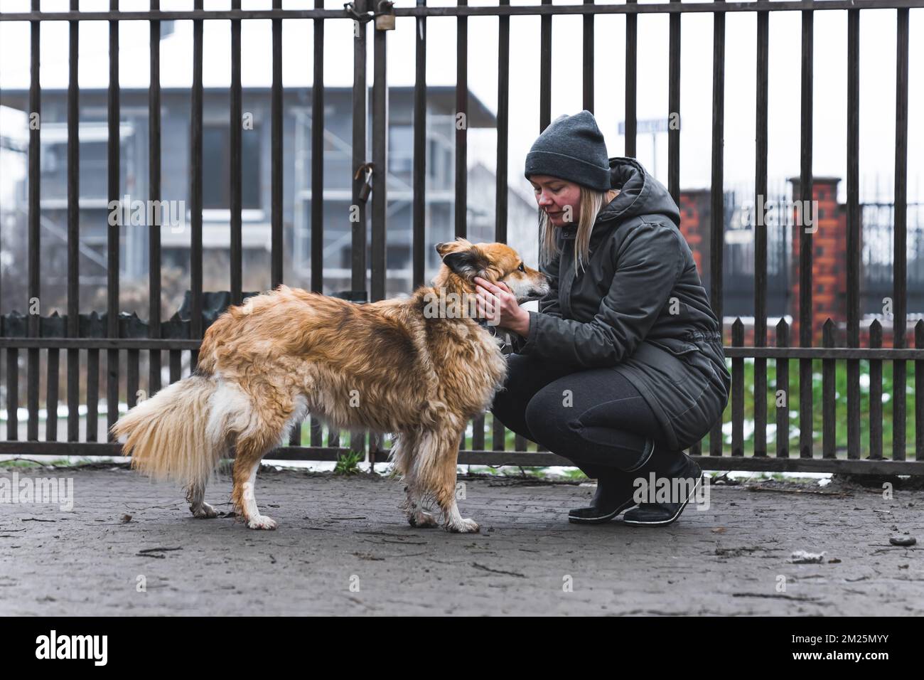 Tiere und Liebe. Weiße Frau im warmen Mantel kniet neben einem mittelgroßen Mischhund in einem privaten Hundeheim. Metallzaun im Hintergrund. Hochwertiges Foto Stockfoto