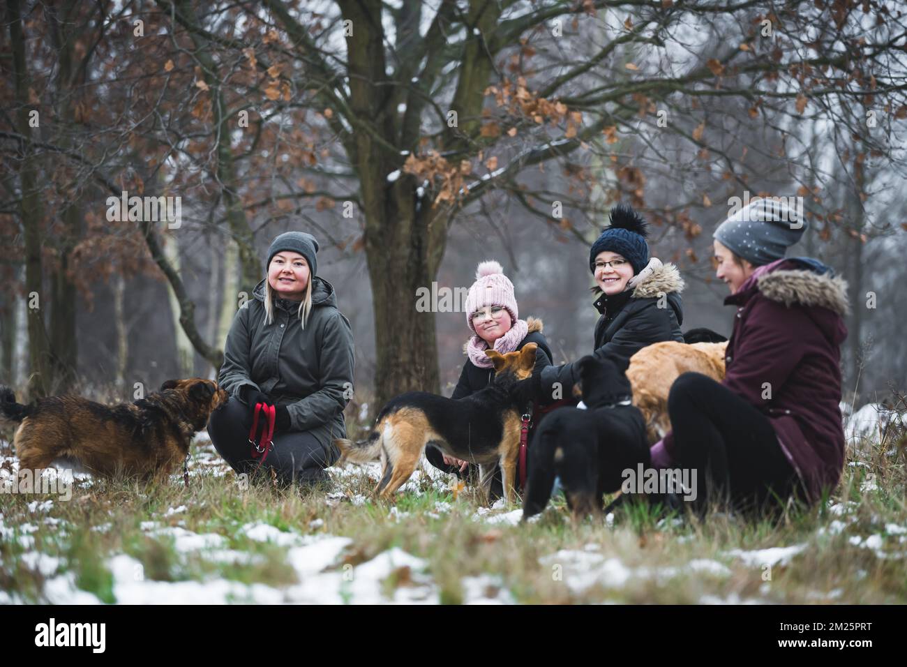 Fürsorgliche weiße Hundehunde Freiwillige knieten neben ihren Hundehunden auf dem Gras und starren in die Kamera. Wald im Hintergrund. Hochwertiges Foto Stockfoto