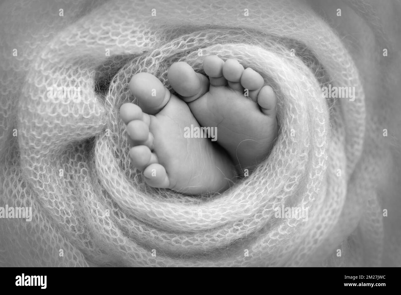 Weiche Füße eines Neugeborenen in einer Decke Nahaufnahme der Zehen, Fersen und Füße eines Babys. Stockfoto