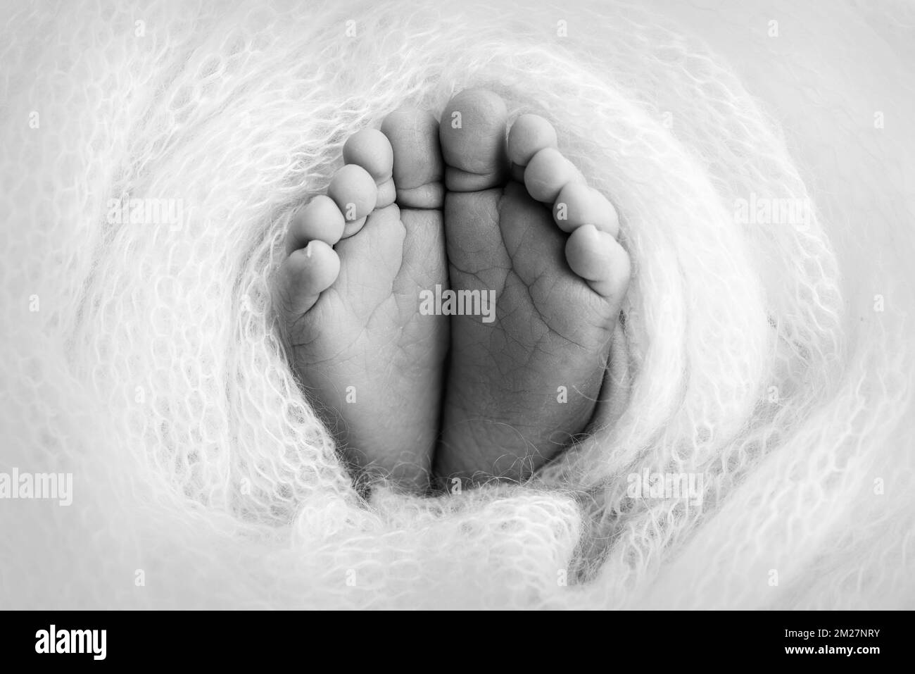 Weiche Füße eines Neugeborenen in einer Decke Nahaufnahme der Zehen, Fersen und Füße eines Babys. Stockfoto