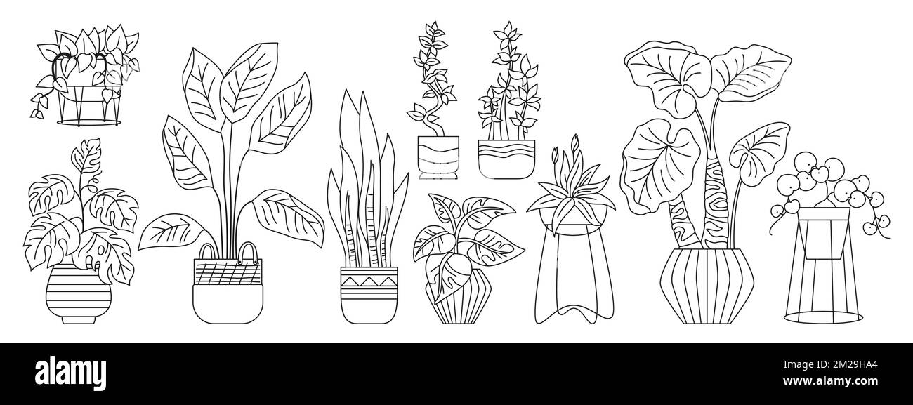 Gegossene Pflanze, dekoratives Doodle-Outline-Set. Exotische Zimmerpflanzen Blumentopf für den Innenbereich. Lineare Keramik vergossen. Botanisches Haus mit blühenden Pflanzen im Topf. Isolierter Dschungelskizzenvektor Stock Vektor