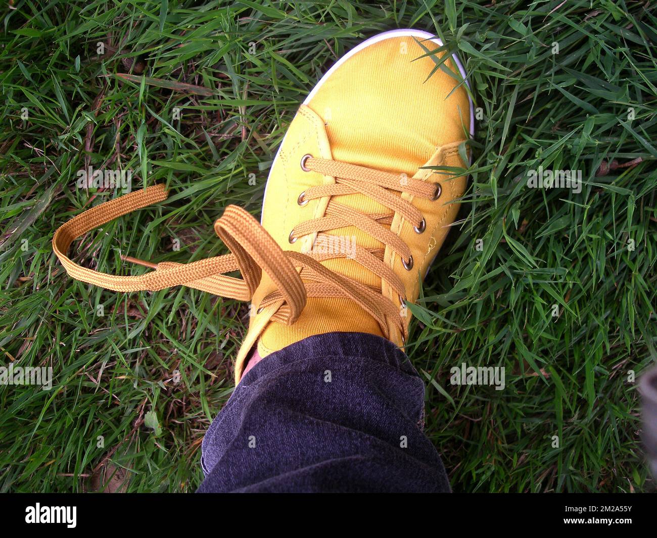 Schuhe | Chaussure Körbe Jaune 06/10/2017 Stockfoto