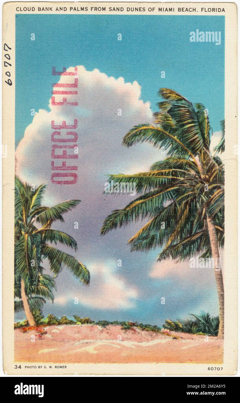 Wolkenbank und Palmen aus Sanddünen von Miami Beach, Florida, Tichnor Brothers Collection, Postkarten der Vereinigten Staaten Stockfoto