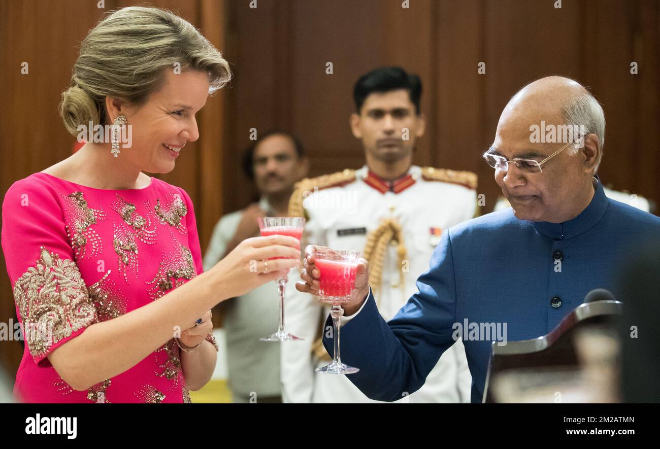 Queen Mathilde Belgium pictured during a toast with Indian President Ram Nath Kovind prior a state banquet at the Presidential Palace on the second day of the state visit of the Belgian royal couple to India, Tuesday 07 November 2017, in New Delhi, India. BELGA PHOTO BENOIT DOPPAGNE Stockfoto