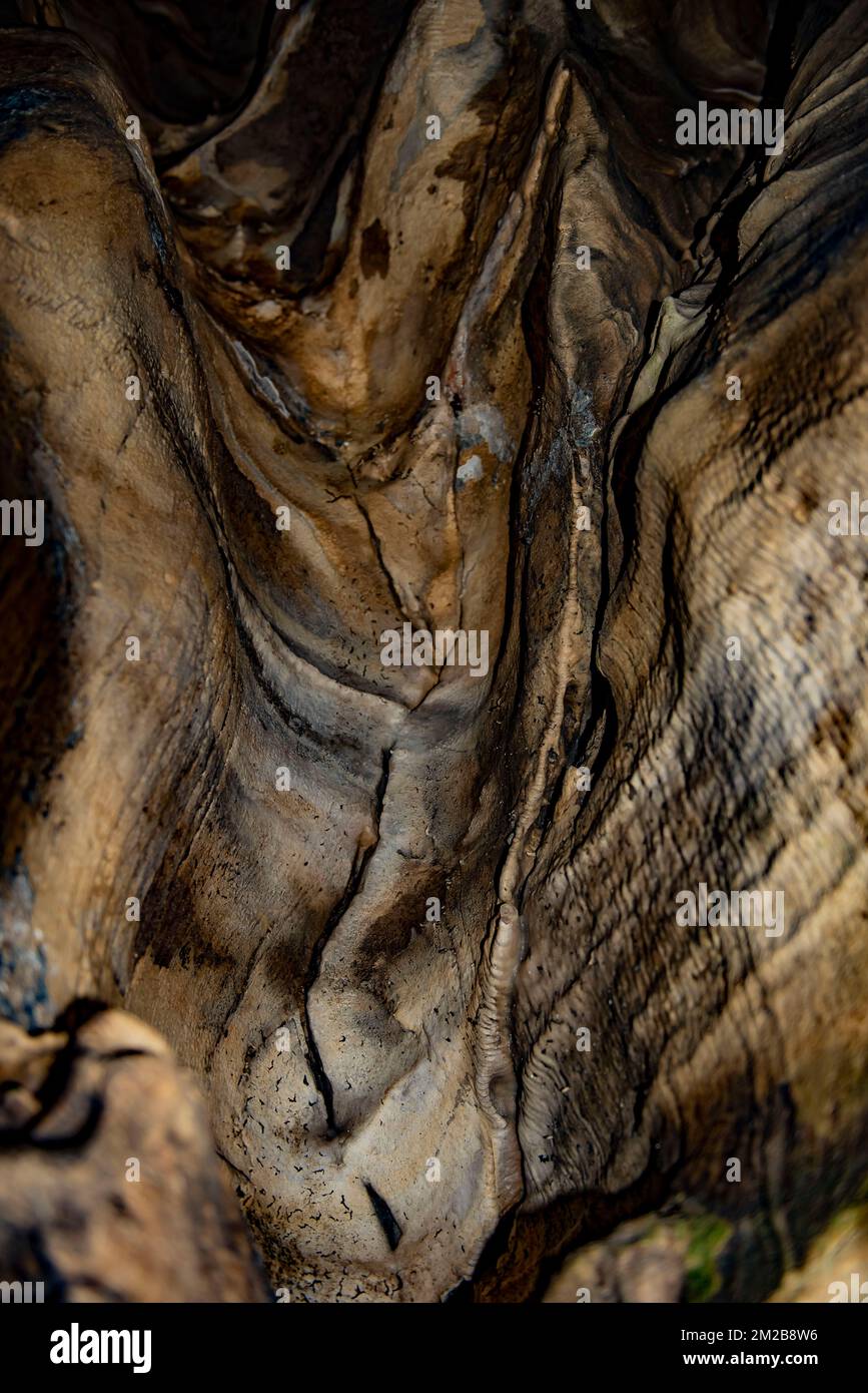 Phantom Womb Cave Art in Howe Caverns New York inspiriert die Fantasie. Stockfoto