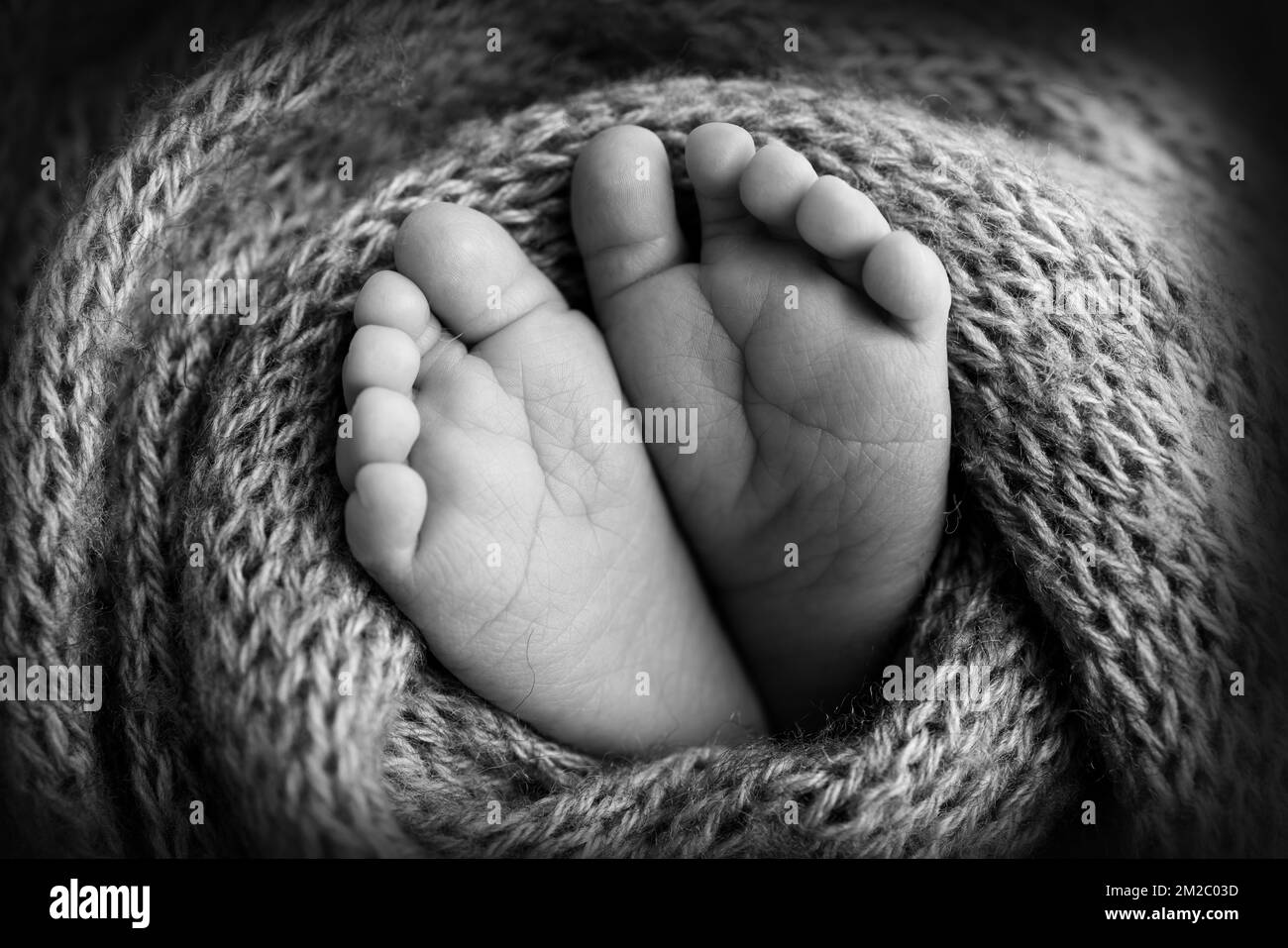 Weiche Füße eines Neugeborenen in einer Decke Nahaufnahme der Zehen, Fersen und Füße eines Babys. Stockfoto