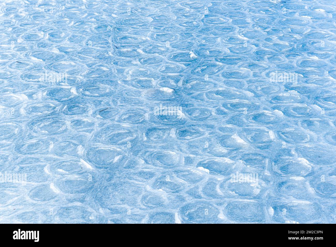 Farbiges Eis. Abstrakte Eistextur. Naturhintergrund. Meereseis, Muster auf Eis Stockfoto