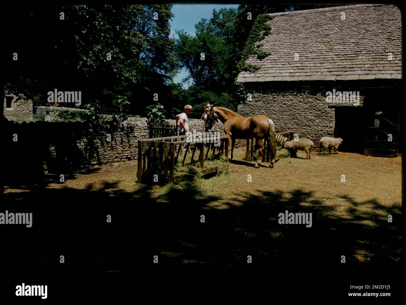 Cotswold Barn, Greenfield Village, Dearborn, Michigan, Barns. Edmund L. Mitchell Kollektion Stockfoto