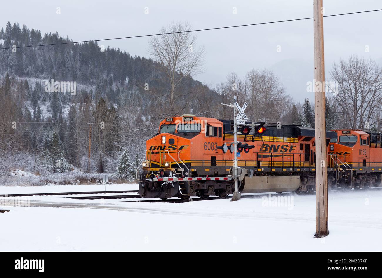 Eine BNSF-Diesel-Elektrolokomotive GE ES44DC, Triebwerk Nr. 6083, an einer Kreuzung im Schnee, nördlich von Troy, Montana. Stockfoto