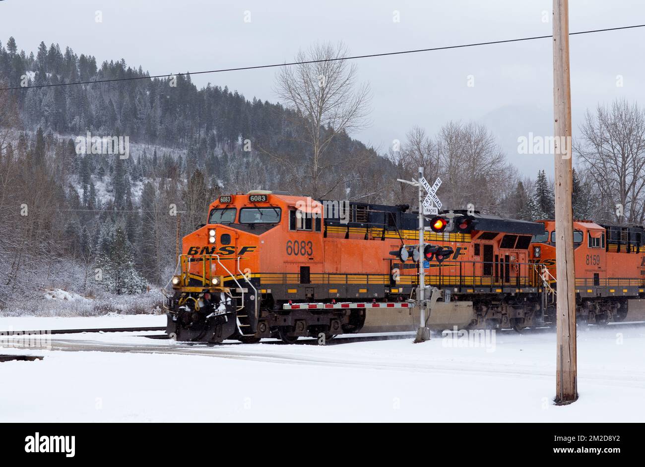 Eine BNSF-Diesel-Elektrolokomotive GE ES44DC, Triebwerk Nr. 6083, an einer Kreuzung im Schnee, nördlich von Troy, Montana. Stockfoto