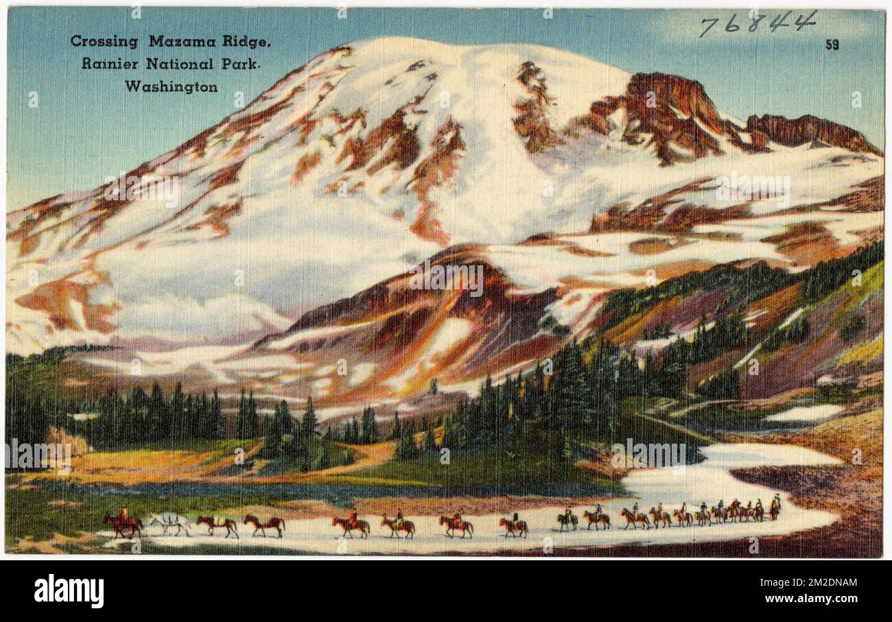 Überquerung Von Mazama Ridge, Rainier-Nationalpark, Washington , Parks, Berge, Tichnor Brothers Collection, Postkarten der Vereinigten Staaten Stockfoto