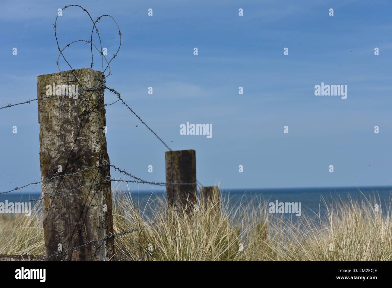 DDay und Schlacht der Normandie Debarquement et bataille de