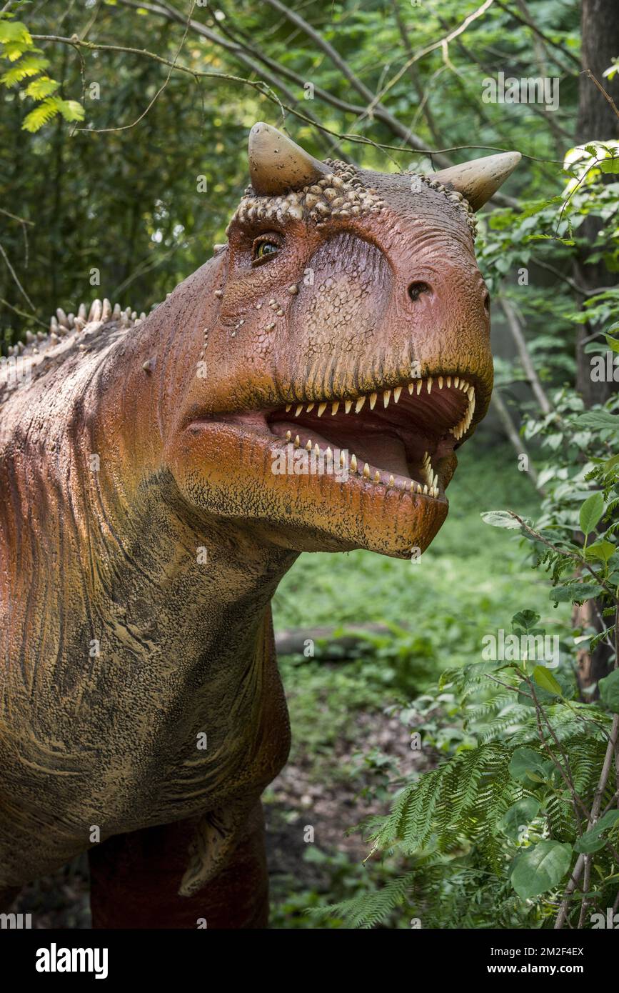 Realistische nachbildung von Carnotaurus saeties, Theropod Dinosaurier