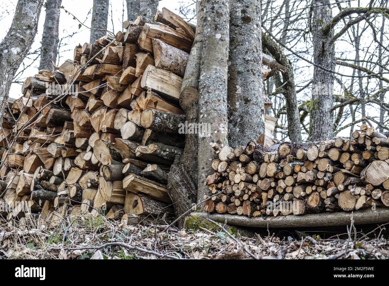 Bois de Chauffage Aligne en Steres. En toutes saisons le bois est laisse a l'air libre parfois protege au-dessus par une bache ou des plaques metalliques. Il Eliminera ainsi toute trace de seve Pendant trois et sera alors bien sec pour etre brule. | Holz drei Jahre lang trocknen, bevor es verbrannt wird. Er bleibt draußen, um seinen saft zu verlieren. 12/05/2018 Stockfoto