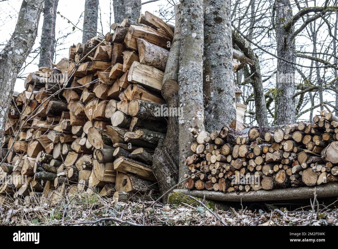 Bois de Chauffage Aligne en Steres. En toutes saisons le bois est laisse a l'air libre parfois protege au-dessus par une bache ou des plaques metalliques. Il Eliminera ainsi toute trace de seve Pendant trois et sera alors bien sec pour etre brule. | Holz drei Jahre lang trocknen, bevor es verbrannt wird. Er bleibt draußen, um seinen saft zu verlieren. 12/05/2018 Stockfoto