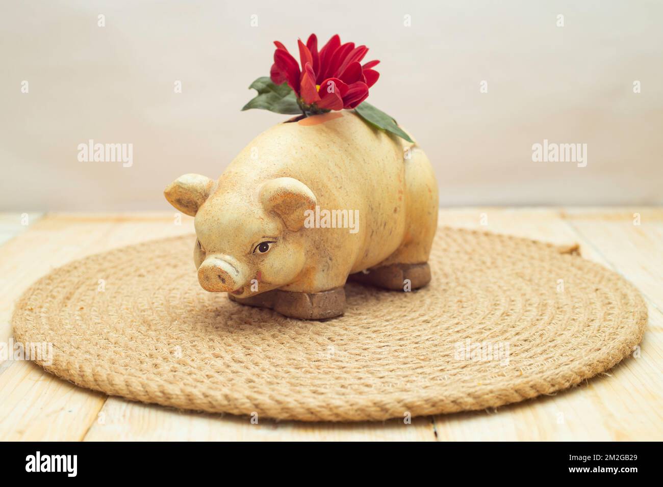 Piggybank mit Gänseblümchen auf dem Rücken, weicher Fokus Nahaufnahme Stockfoto