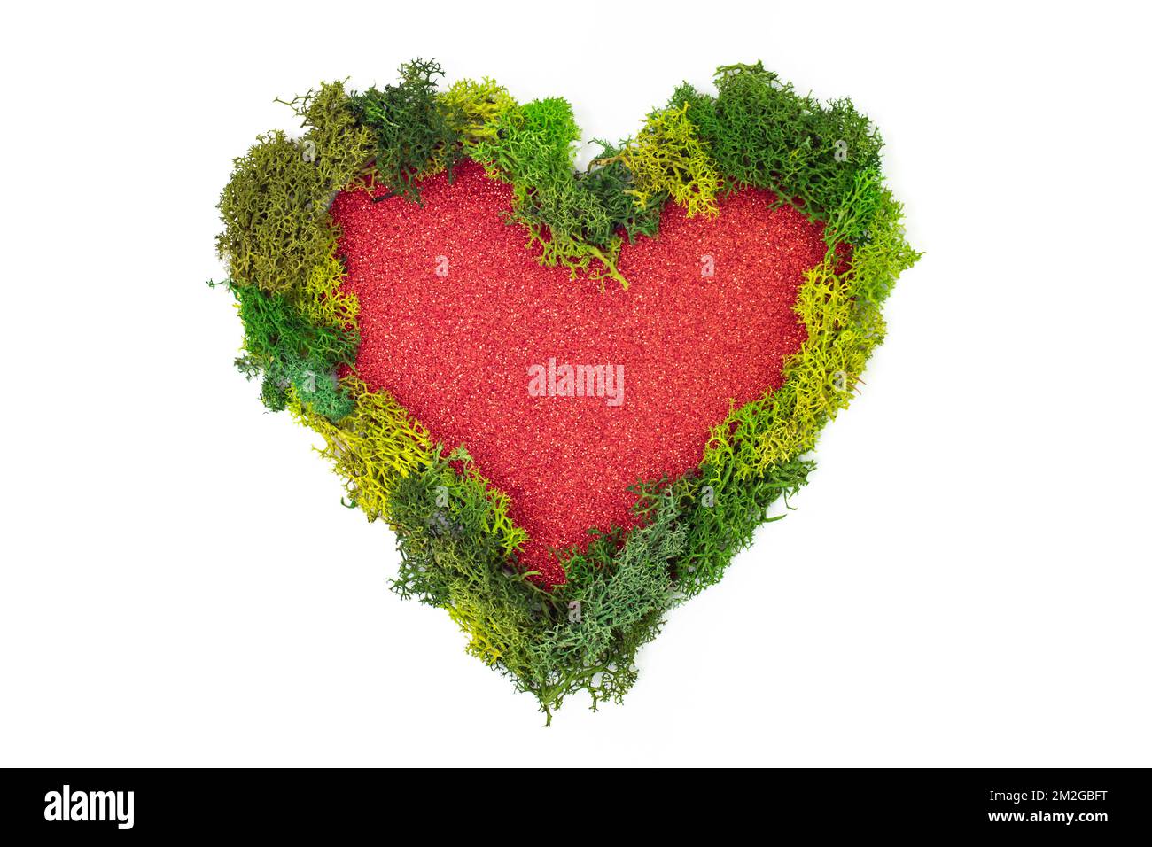Grünes Flechten umgibt ein rotes glitzerndes Herz, isoliert auf weißem Hintergrund Stockfoto