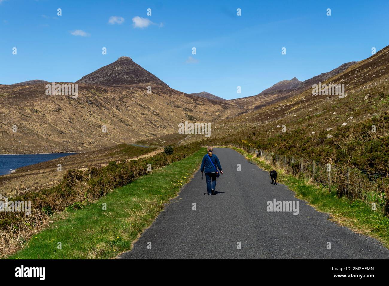 Silent Valley County Down Northern Ireland - 16 2018. Mai. Eine Frau in einer blauen Jacke führt ihren schwarzen Hund auf einem Weg neben dem Silent Valley Reservoir Stockfoto