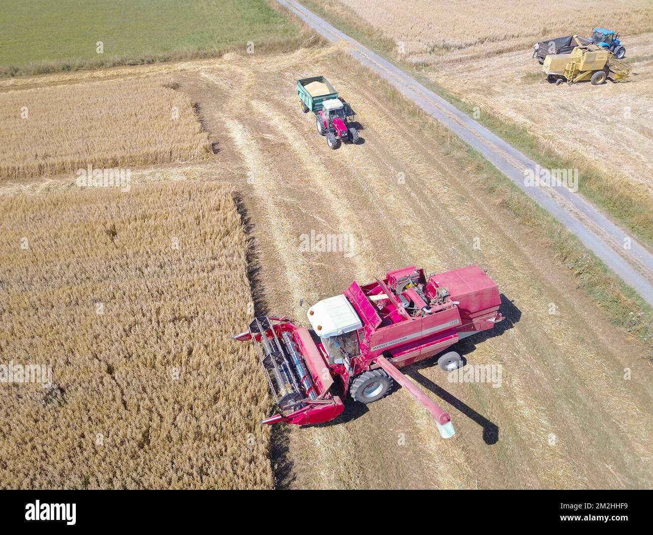 Landwirtschaft | Landwirtschaft 06/08/2016 Stockfoto